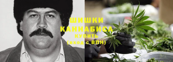 2c-b Богородицк
