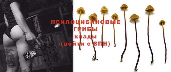 синтетический гашиш Богданович
