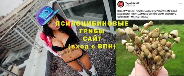 mdma Белокуриха