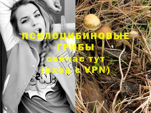 дживик Белоозёрский