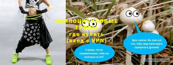 2c-b Богородицк