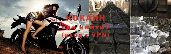 дживик Белоозёрский