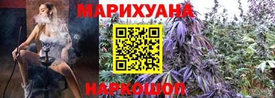 ALPHA PVP Гай