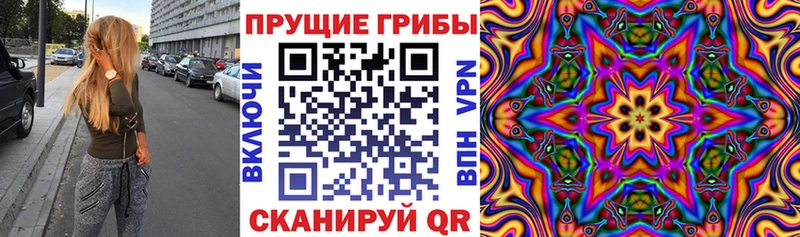 Псилоцибиновые грибы Magic Shrooms  Свободный 