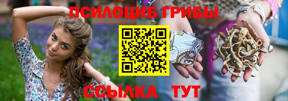 Свободный  Галлюциногенные грибы ЛСД  Вход с VPN 